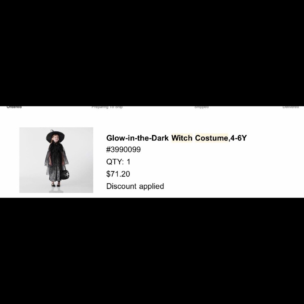 Pottery Barn Kids 4-6y witch costume
